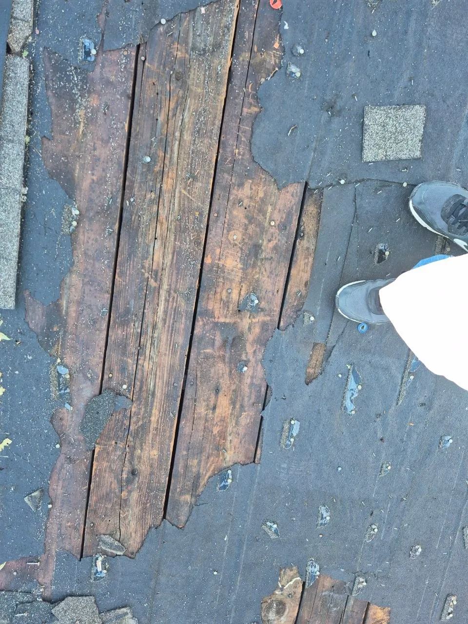 Rotted roof decking exposed during shingle removal on a St. Louis home, showing damaged wood boards and underlayment.