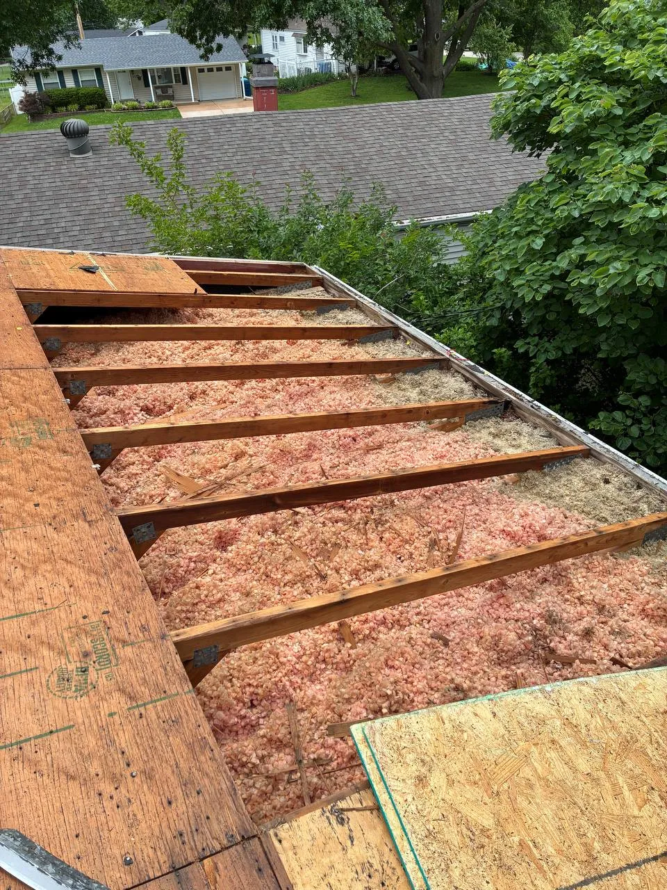 Roof deck stripped to exposed rafters with pink blown-in insulation visible between joists during a St. Louis re-roofing inspection.