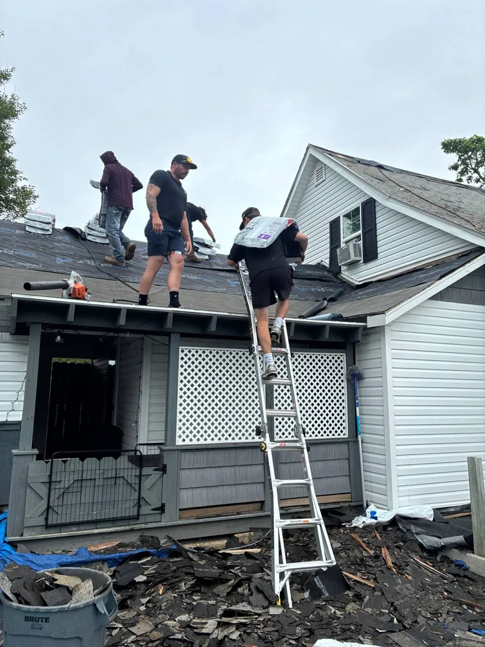 Roofing crew installing new shingles on a residential home in St. Louis, MO with ladder and torn-off old shingles below.