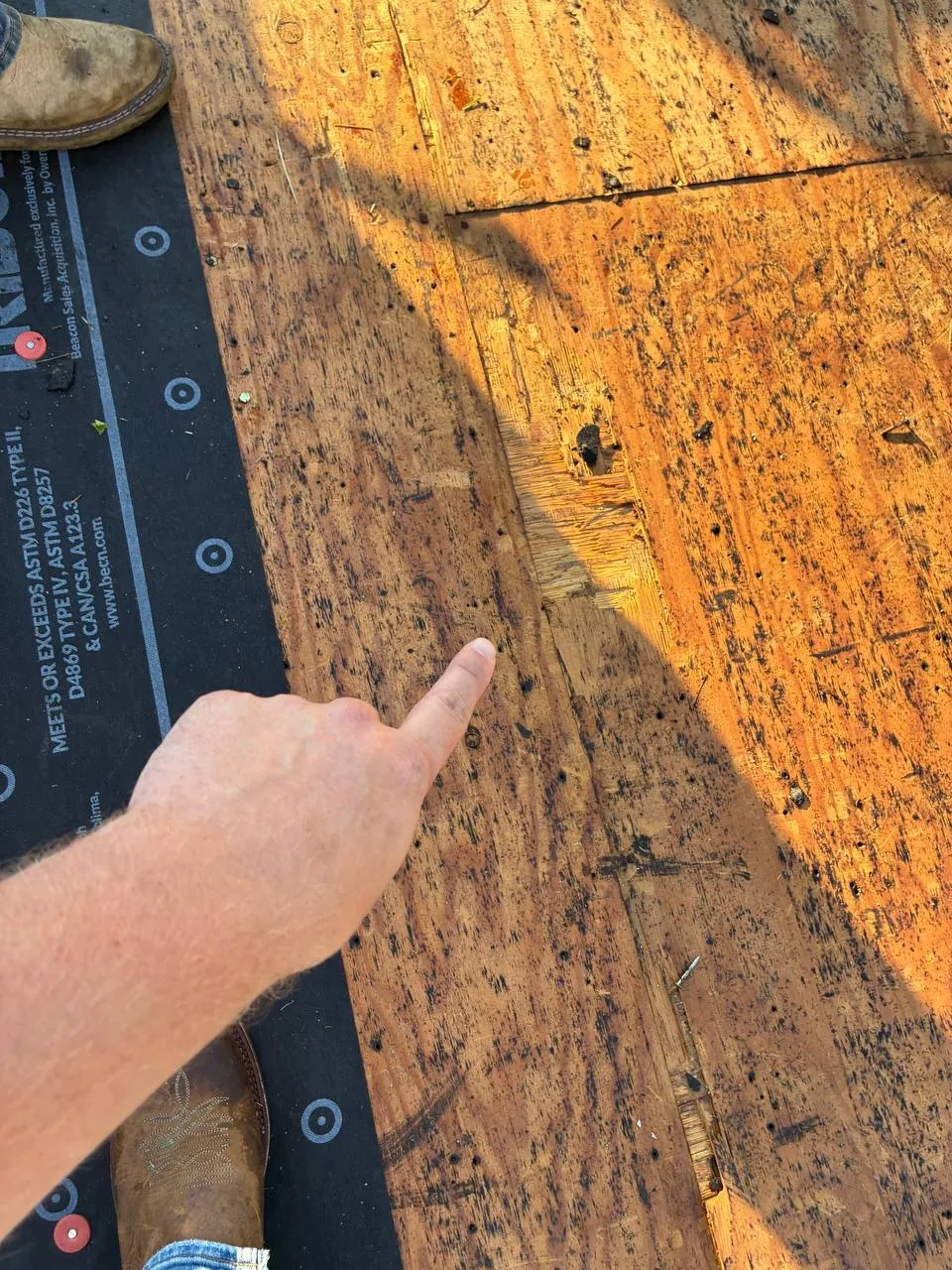A Gorilla Roofing contractor points to dark water and mold staining on roof decking found during a roof repair in the St. Louis area.