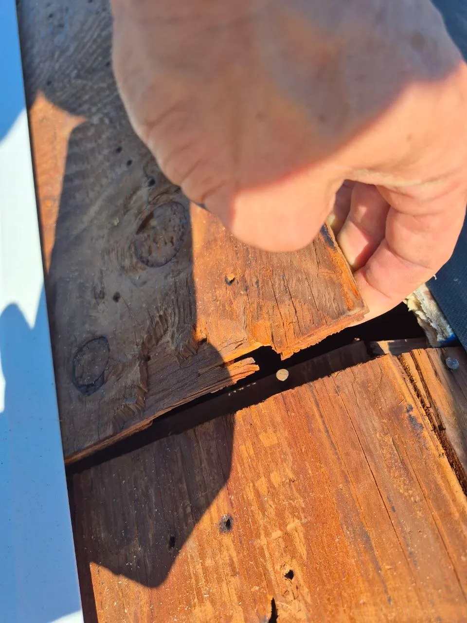 Hand pulling away rotted wood from a damaged roof deck in St. Louis, MO showing severe wood deterioration