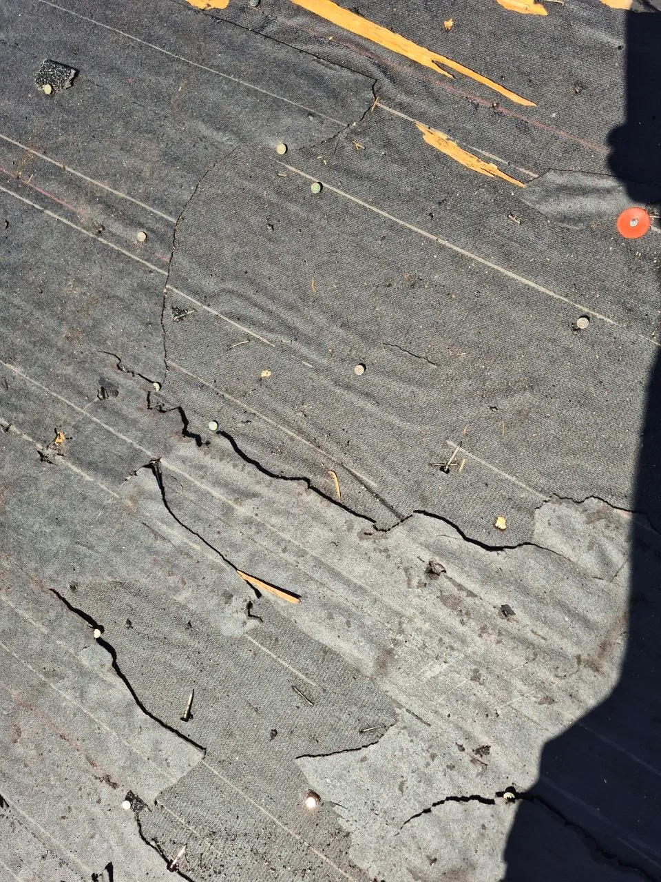 Close-up of asphalt roof shingles partially cleaned, showing a dramatic contrast between algae-stained and clean sections.