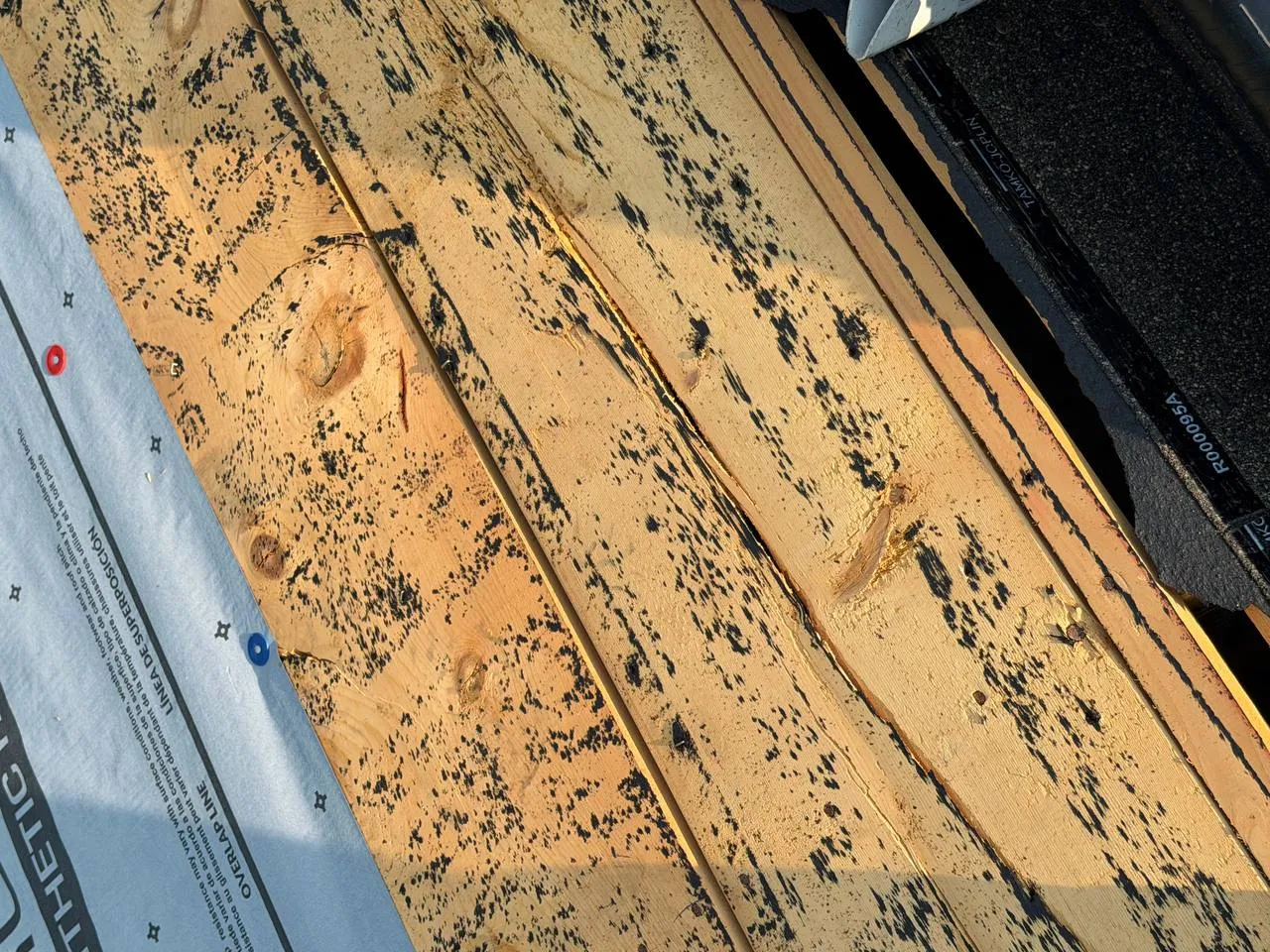 Mold-covered roof decking boards exposed during roof replacement in St. Louis, MO