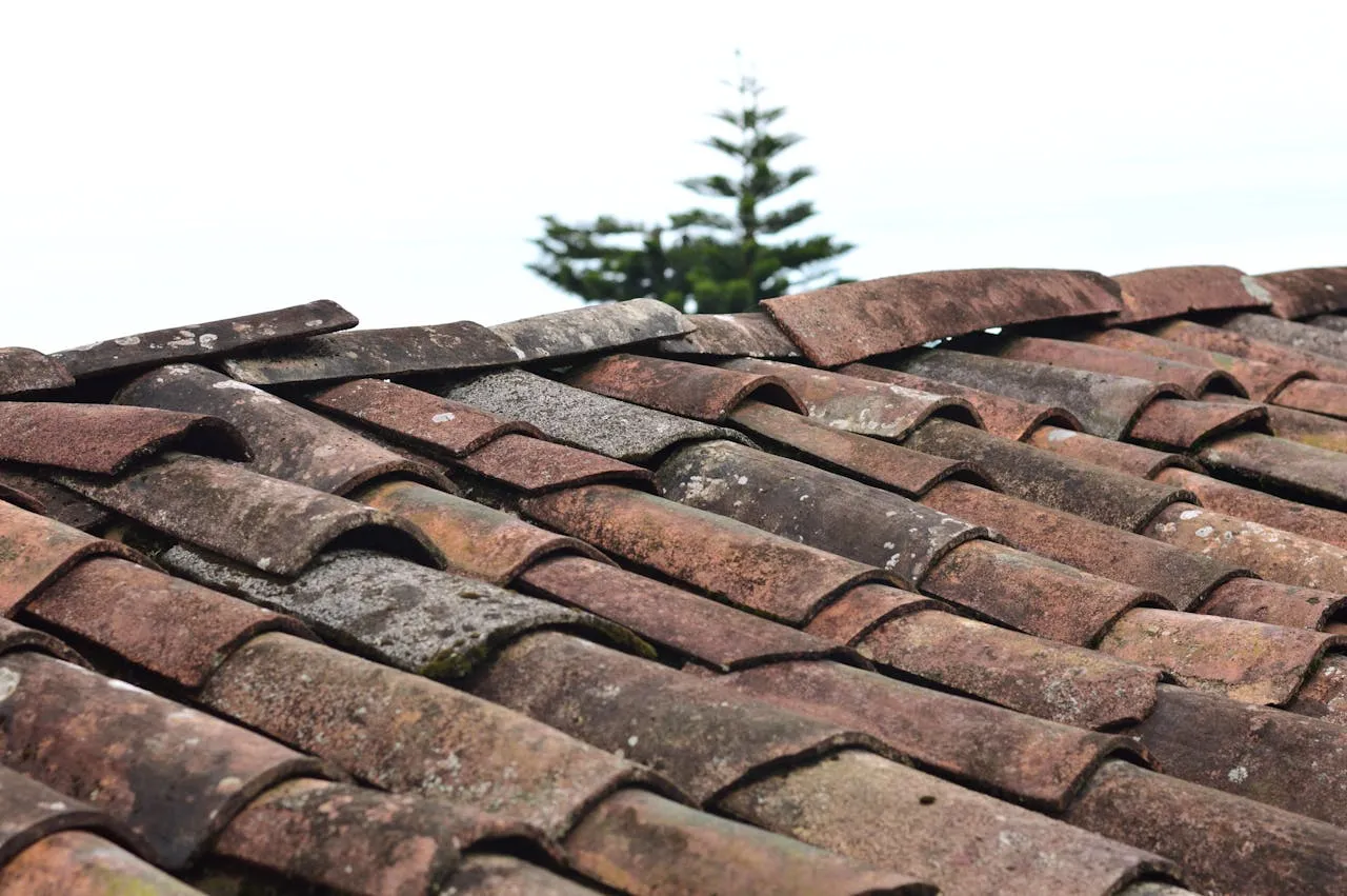 Weathered clay roof tiles with moss and lichen growth on an aging residential roof in need of repair.