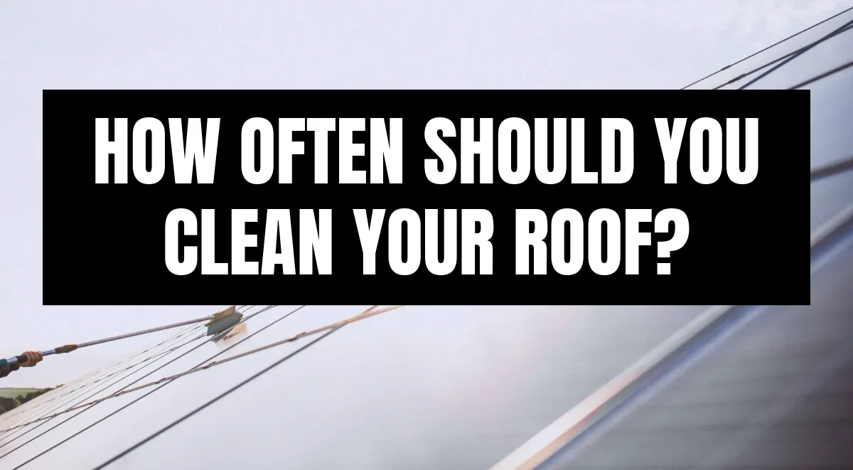 Blog header asking 'How Often Should You Clean Your Roof?' with solar panels being cleaned in background.