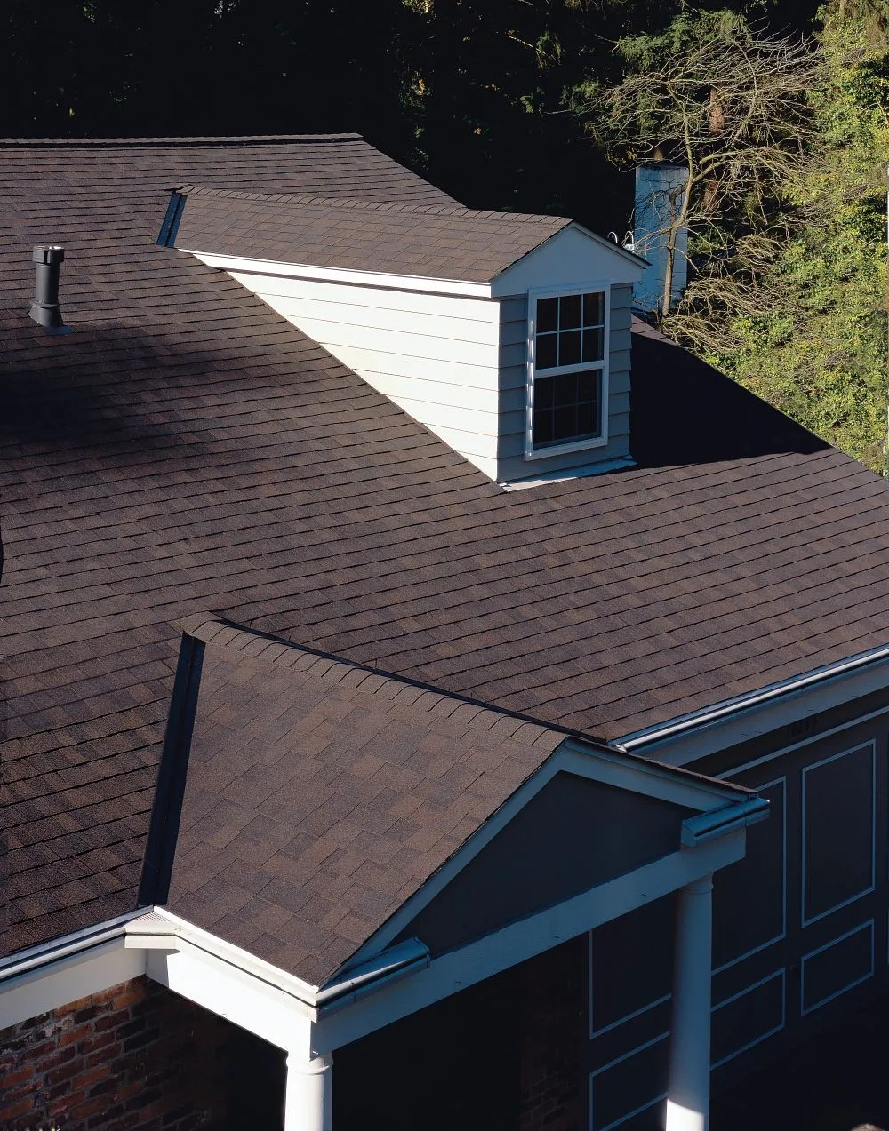 Black Walnut on a home