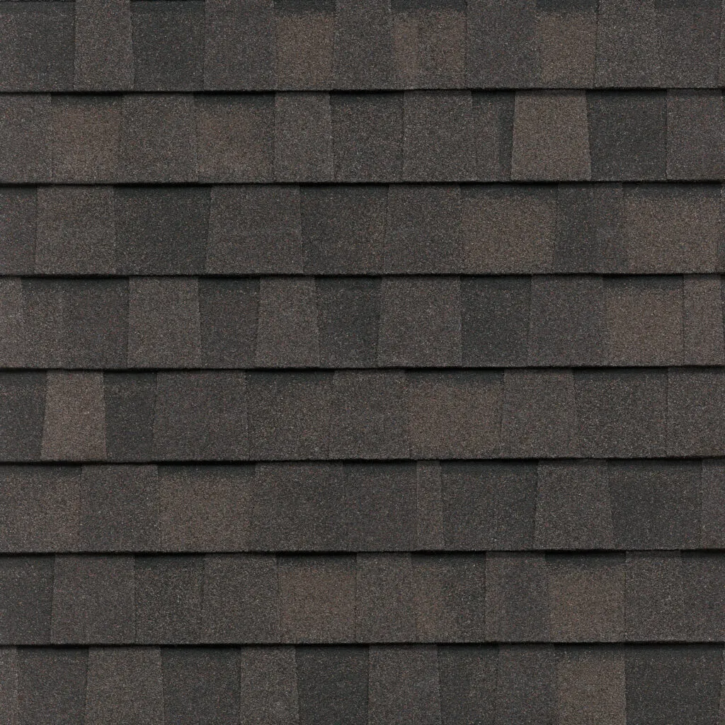 Max Def Espresso shingle swatch