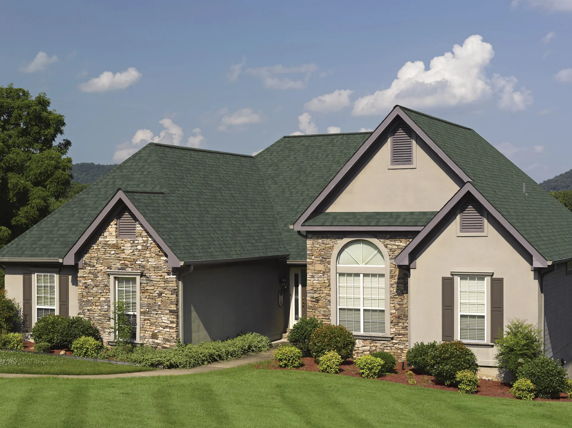 Max Def Evergreen on a home
