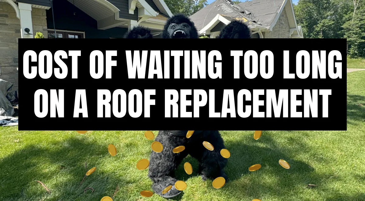Gorilla mascot with gold coins and text: Cost of Waiting Too Long on a Roof Replacement