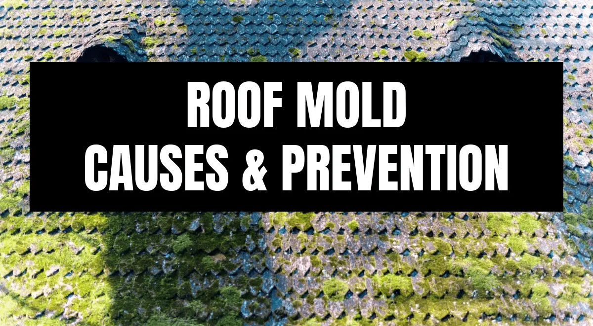 Aerial view of a moss and mold-covered tile roof with text overlay: Roof Mold Causes & Prevention